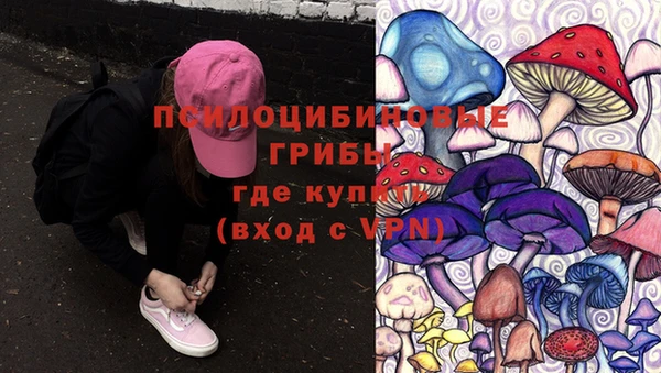 герыч Алексеевка