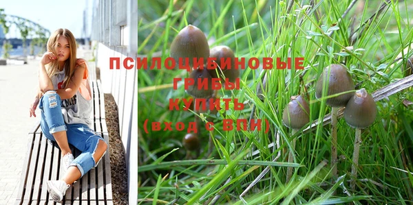 герыч Алзамай