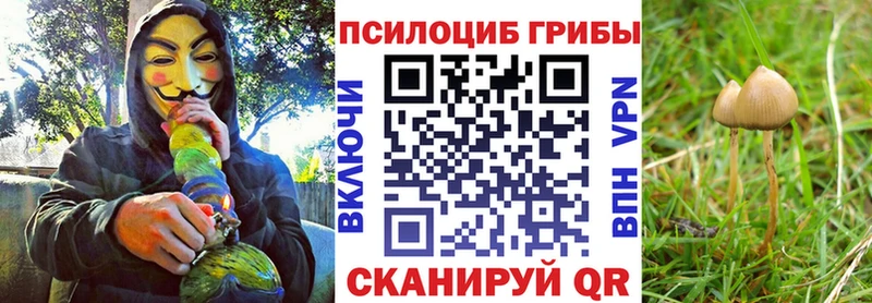 Псилоцибиновые грибы ЛСД  Мытищи 
